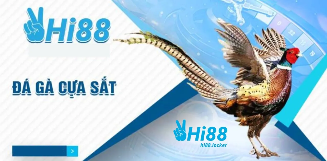 da ga cua sat | Hi88