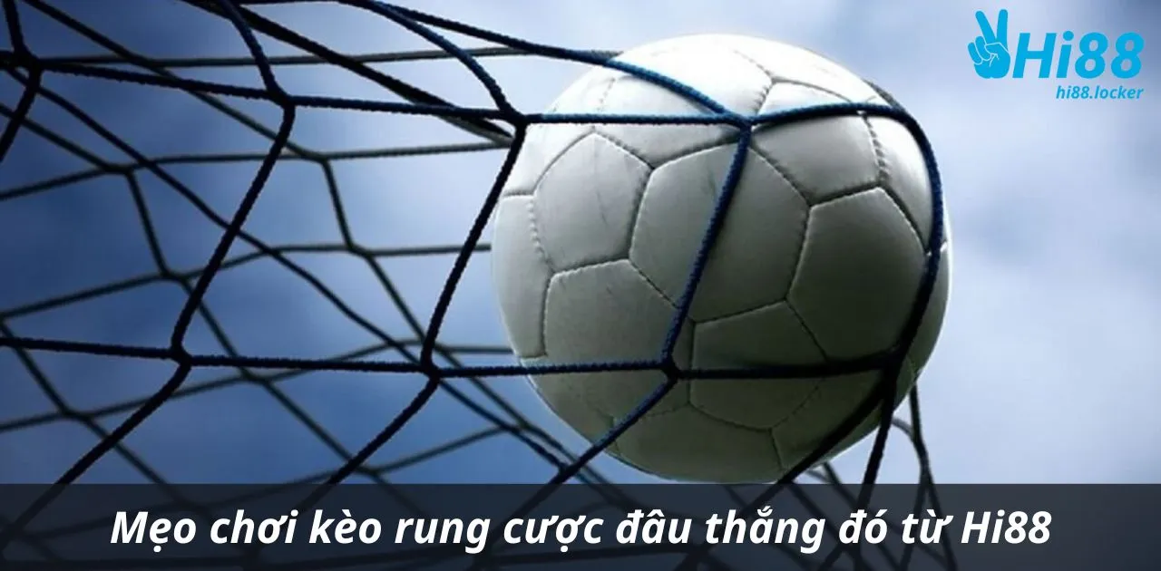 meo choi keo rung cuoc dau thang do tu hi88 | Hi88