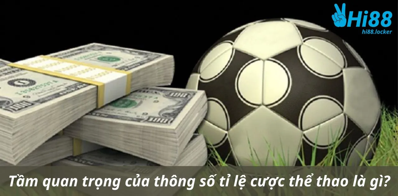 tam quan trong cua thong so ti le cuoc the thao la gi | Hi88